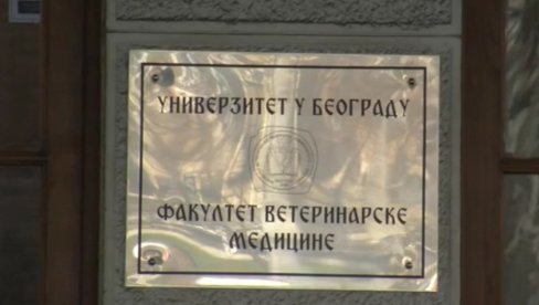 ŠAČICA BLOKIRALA VETERINARSKI FAKULTET: A šta je sa većinom koja želi da stvara i da živi, koja želi sigurnu budućnost?