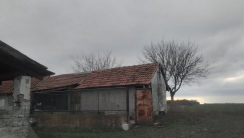 УДАРАО ДЕДУ ДРВЕНОМ ДРШКОМ, ПА ГА ЗАДАВИО: Тужилаштво из Зрењанина саопштило детаље убиства на салашу код Кикинде