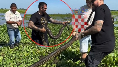 Hrvat DOBIO ŠUT-KARTU zbog toga ŠTA JE URADIO anakondi, pa se oglasio: Svima je jasno da ovde nije reč o zmiji (VIDEO)