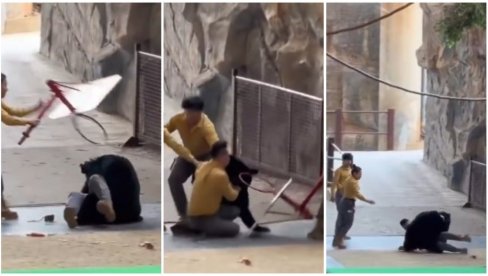 MEDVED NASRNUO NA RADNIKA U ZOO VRTU: Nemilosrdna životinja napala svog dresera - osoblje hitno priskočilo u ponoć (VIDEO)