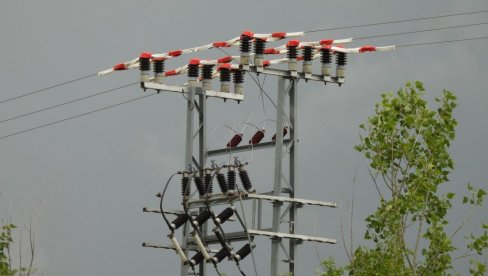 DUNAV BEZBEDNIJI ZA PTICE TOKOM SEOBE: Niz zaštitnih mera sa ciljem da se spreči stradanje ptica na dalekovodima