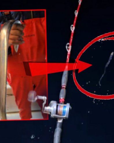 РИБАРИ У ШОКУ: Шта је ОВО?! Уловили чудног морског СТВОРА у Јадрану (ВИДЕО)