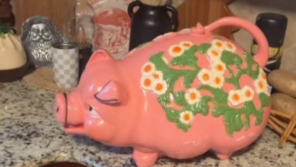 ДЕВОЈКА КУПИЛА ВИНТИЏ КАСИЦУ ПРАСИЦУ, ПА ЈЕ САЧЕКАЛО ИЗНЕНАЂЕЊЕ: Платила је 1.100 динара, а новац јој се вратио стоструко (ВИДЕО)