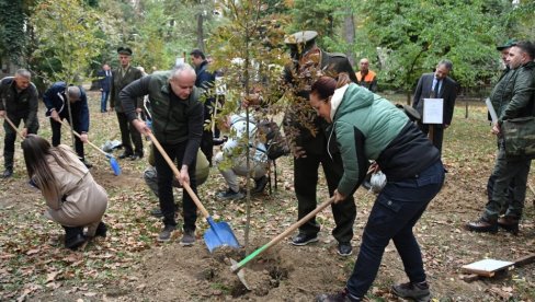 VELIKA AKCIJA POŠUMLJAVANJA U BORU: Pavkov sa mladima na Crnom vrhu kod Bora