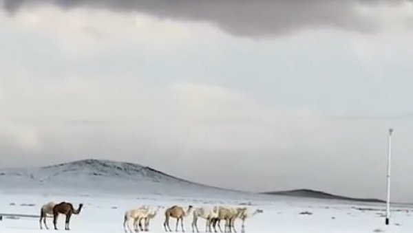 СНЕГ ЗАБЕЛЕО ПУСТИЊЕ, КАМИЛЕ ЗБУЊЕНЕ: Поплаве од Марока до Саудијске Арабије и Ирана, Абу Даби под водом
