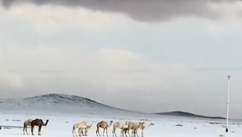 СНЕГ ЗАБЕЛЕО ПУСТИЊЕ, КАМИЛЕ ЗБУЊЕНЕ: Поплаве од Марока до Саудијске Арабије и Ирана, Абу Даби под водом