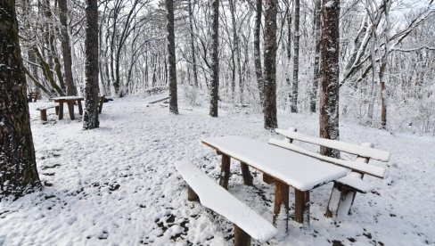 PAŠĆE POLA METARA SNEGA: Za vikend opasna pojava stiže u Srbiju