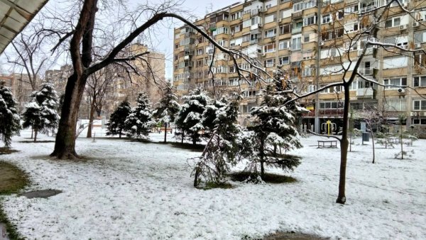 ЗАБЕЛЕО СЕ НОВИ САД: Прве пахуље ове зиме