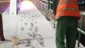 ZIMSKE SLUŽBE NA TERENU ČISTI SE SNEG