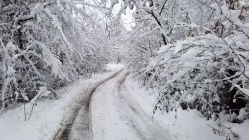 STABLO PALO NA ŽENU I UBILO JE: Nije joj bilo spasa