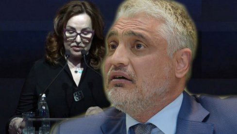 НЕЋУ ДА ЋУТИМ О АНИ: Чеда подржао певачицу после напада