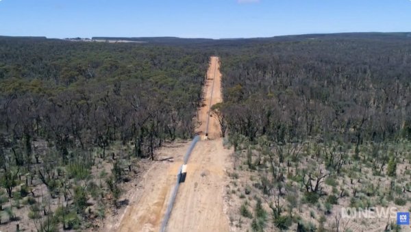 ОГРАДА СПАСИЛА УГРОЖЕНЕ ВРСТЕ ЗА 90 ОДСТО: Аустралијски биолози шокирани резултатима (ВИДЕО)