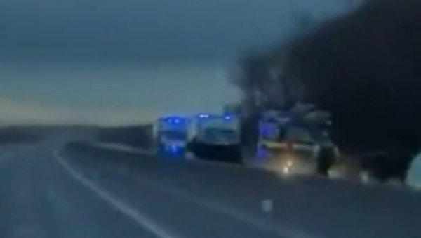 КРАВА ПРЕСКОЧИЛА ОГРАДУ И ИЗЛЕТЕЛА ПРЕД АУТОМОБИЛ: Страва и ужас на ауто-путу - камера забележила хорор! (ВИДЕО)