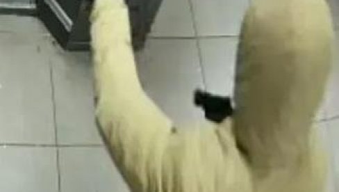 AKO GA VIDITE, BEŽITE: Policija traga za višestrukim prestupnikom - Govori čudnim akcentom (FOTO)