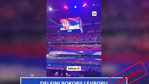 ДЕЛФИНИ ПОКОРИЛИ ЕВРОПУ (ВИДЕО)