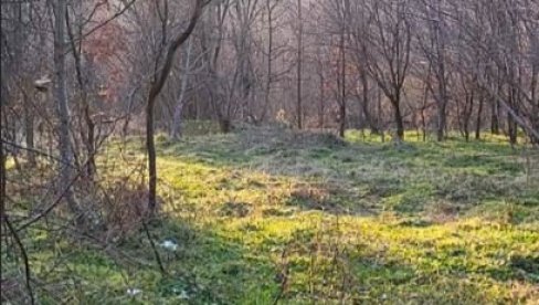 PRODAJE SE IMANJE U ŠUMADIJI: Cena 4.000 evra, može i na četiri mesečne rate - ima samo jednu manu