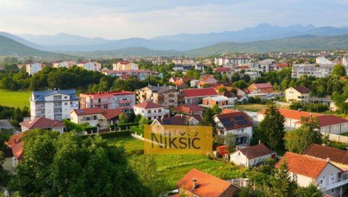 ŠTA JE TO POD TREBJESOM? Prase ljubimac u Nikšiću - šetaju ga na povocu (FOTO)
