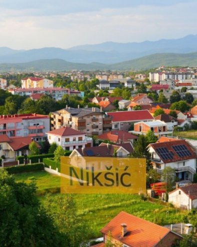 ШТА ЈЕ ТО ПОД ТРЕБЈЕСОМ? Прасе љубимац у Никшићу - шетају га на повоцу (ФОТО)