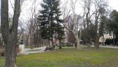 ПОЖАРЕВЉАНИ ИЗАБРАЛИ ИЗВОЂАЧЕ ЗА ОБНОВУ ЗЕЛЕНЕ ОАЗЕ У ЦЕНТРУ ГРАДА   Оживљавају парк и дух Француске