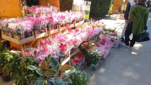 ОСМОМАРТОВСКИ БАЗАР: Улична продаја у Великом Градишту од 7. до 9. марта