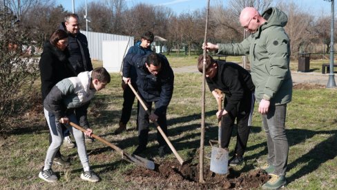 OKO JEZERA JOŠ 450 SADNICA: Donatorska akcija pošumljavanja u Kikindi