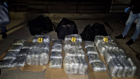 NOVOSADSKA POLICIJA ZAPLENILA 80 KILOGRAMA MARIHUANE: Uhapšena četvorica osumnjičenih za trgovinu drogom