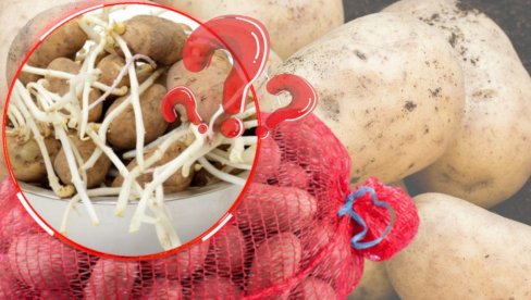 SPREČAVA KLIJANJE: Ovo je NAJBOLJI način za čuvanje krompira