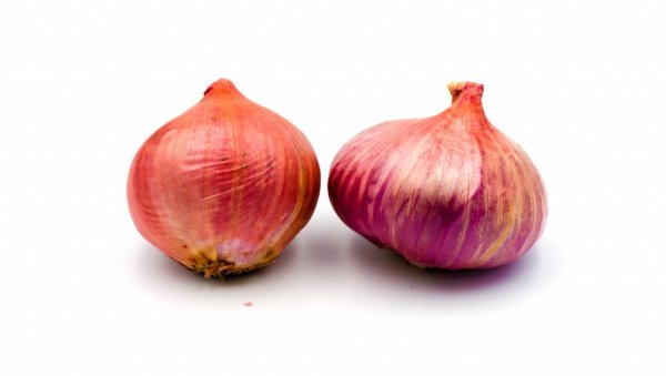 ПРИРОДОМ ПРОТИВ ВИРУСА И БАКТЕРИЈА: Лук, мед и маслиново уље да будете здрави (РЕЦЕПТ)