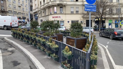 DEKORACIJI NIJE MESTO NASRED PUTA:  Žardinjere kod Zelenog venca smanjuju preglednost u saobraćaju