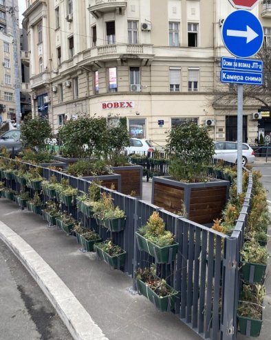 ДЕКОРАЦИЈИ НИЈЕ МЕСТО НАСРЕД ПУТА:  Жардињере код Зеленог венца смањују прегледност у саобраћају