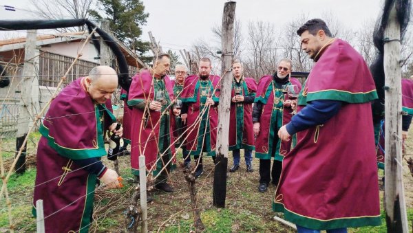 ВИНСКИ РЕД „СТЕВА ПИСАР“ ОБЕЛЕЖИО СВЕТОГ ТРИФУНА: У Параћину прво орезивање винове лозе ове године (ФОТО)