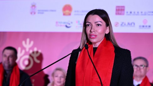 ОВО НИЈЕ ЗА ОСУДУ, ВЕЋ ЗА ПСИХИЈАТРА Порука министарке Месаровић због напада на болесног дечака