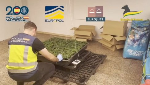 KRILI MARIHUANU U VREĆAMA STOČNE HRANE: U akciji španske i italijanske policije zaplenjeni narkotici, oružje, 40.000 evra