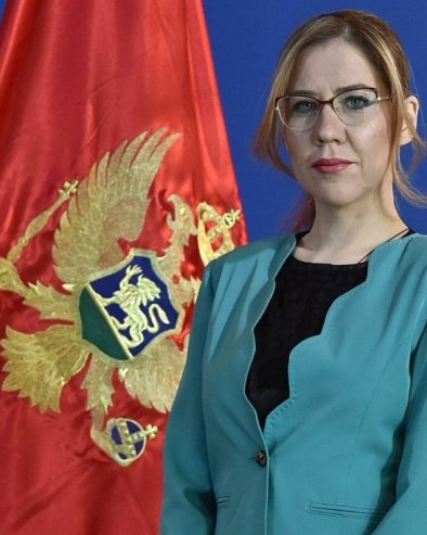 ВЕСНИ БРАТИЋ УКИНУТ КУЋНИ ПРИТВОР