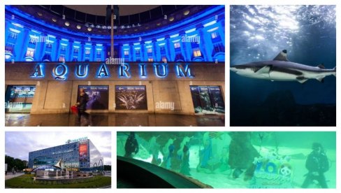 ЗАШТО БЛОКАДЕРИ МРЗЕ ДЕЦУ СРБИЈЕ? Светске метрополе могу, а Београд не! Ово су велики градови широм света који имају акваријуме (ФОТО)