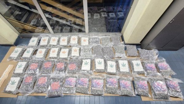 У КАМИОНУ 50 КИЛОГРАМА МАРИХУАНЕ! Велико хапшење у Новом Саду