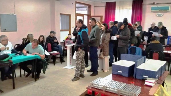 ЈАГОДИНЦИ ДОНИРАЛИ КРВ ЗА АНУ: Солидарност на делу - помоћ девојчици оболелој од леукемије