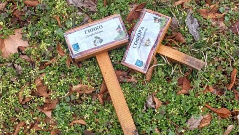 UNIŠTILI TABLICE MLADIH GORANA: Mobilijar u Gradskom parku u Vršcu ponovo bio na meti vandala