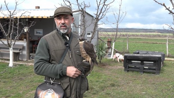 СОКО ЧУВАР И ВИНОГРАДА: Милош Јовановић из Пуковца код Ниша већ 15 година успешно узгаја птице грабљивице