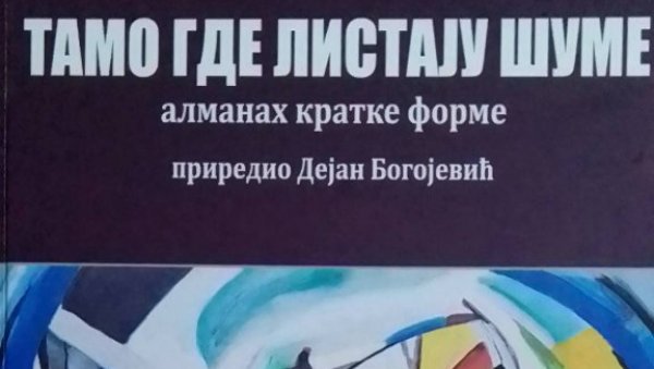 МИРОСЛАВ ЧОПА НАЈБОЉИ ХАИЂИН: Награђен првим местом на међународном конкурсу (ФОТО)