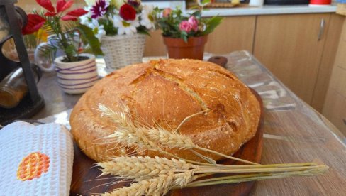 РЕЦЕПТ ЗА ДОМАЋУ ПОГАЧУ: Како до златне корице, а ваздушастог теста? (ВИДЕО)