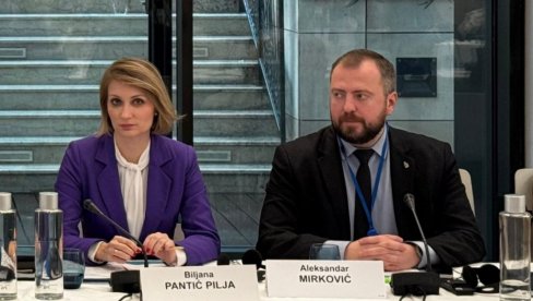 BILJANA PANTIĆ PILJA U SAVETU EVROPE: Otvorili ste Pandorinu kutiju priznanjem tzv. Kosova