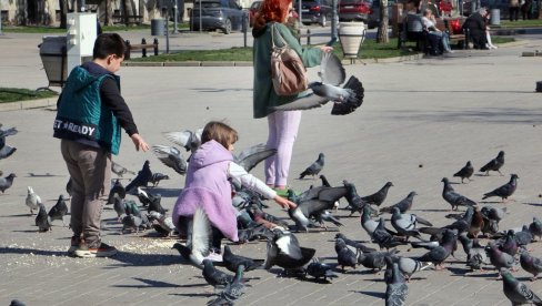 PROHLADAN PROLEĆNI DAN: Vremenska prognoza za četvrtak, 19. mart