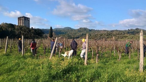 ЈЕДИНА ШКОЛА У СРБИЈИ ЧИЈИ УЧЕНИЦИ СВАКЕ ГОДИНЕ ХОДОЧАСТЕ НА СВЕТУ ГОРУ: Послушање ђачко у вртовима Хиландара