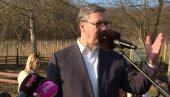NEMA ASFALTA ZA DŽABE: Vučić otkrio koliko košta tri kilometra malog puta