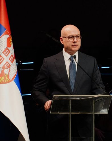 ЗА ТО НЕМА ОПРАВДАЊА: Вучевић - Погром 2004. био слом међународног права, на неправди се не гради трајни мир