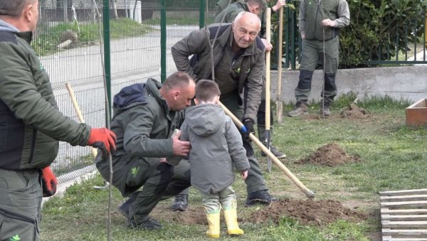 ЛОЗНИЧКИ ШУМАРИ ДАРОВАЛИ САДНИЦЕ ЛИПА: Садили са малишанима