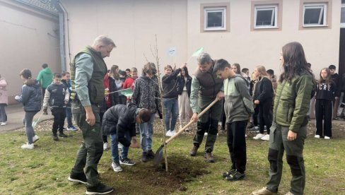 ЗАСАЂЕНО ЗНАЊЕ И ДРВЕЋЕ: Оплемењено двориште ОШ „Петар Николић“ у селу Самаила код Краљева