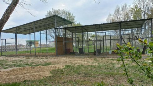 MIR, ZA LAKŠI OPORAVAK: Privremeno prihvatilište za životinje u Vršcu premešteno iz Gradskog parka u Mali rit