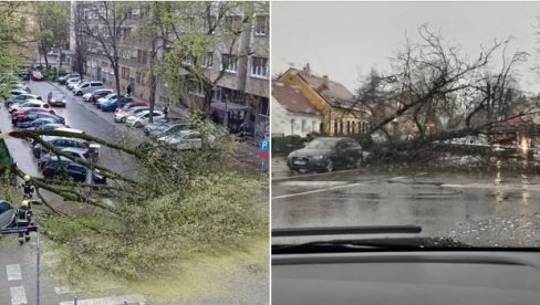 HAOS U ZAGREBU - VETAR RUŠIO STABLA, VOZ IZLETEO KOD BELOVARA: Da je ovo u Beogradu, ne bi se moglo živeti od blokadera